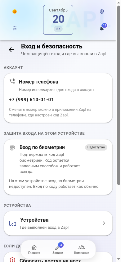 Раздел «Вход и безопасность»